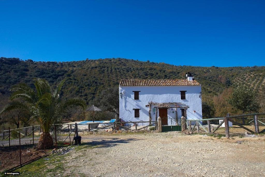 Hotel Enrique Calvillo El Bosque Kamer foto