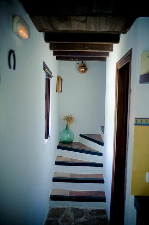 Hotel Enrique Calvillo El Bosque Buitenkant foto